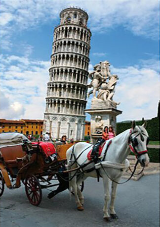 Soul Puzzles D Toys Cardboard Puzzles 1000 pieces | Leaning Tower of Pisa, Italy